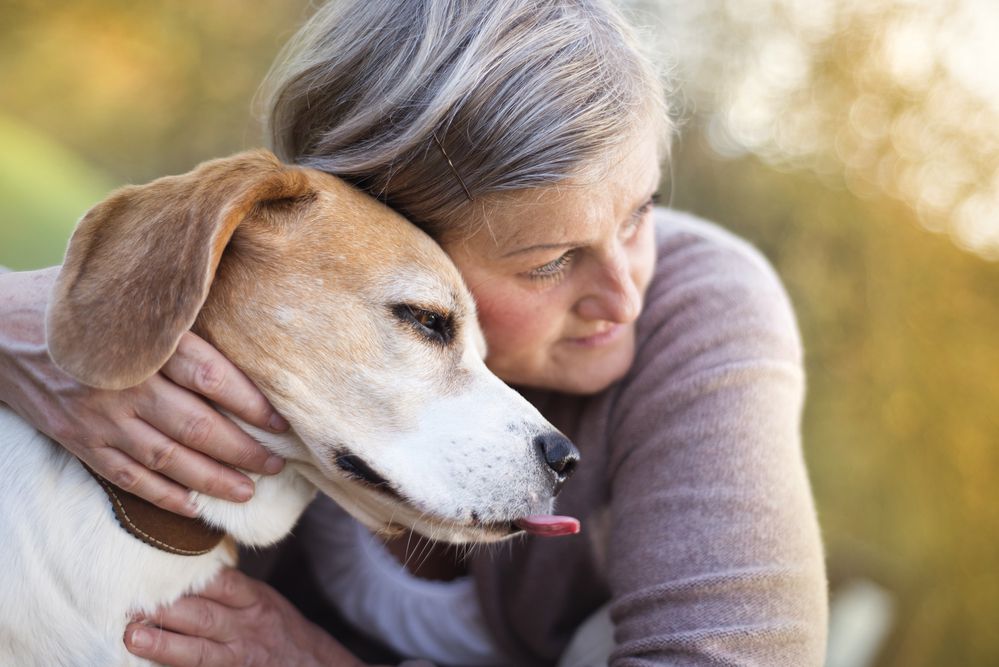 Hvor gammel bliver en hund?