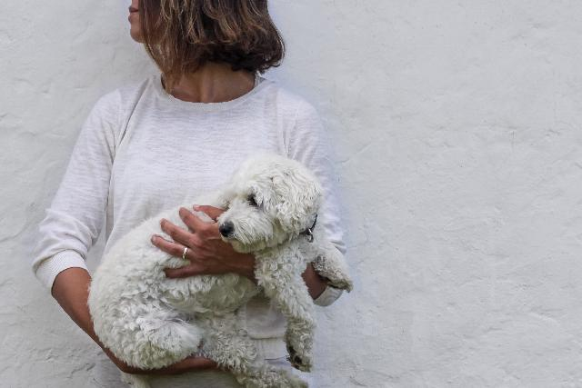 Er allergivenlige hunde overhovedet allergivenlige?