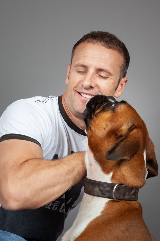 Forhudsbetændelse hund