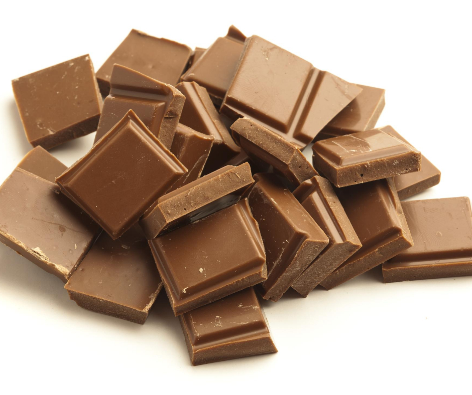 Hvorfor kan hunde ikke tåle chokolade?