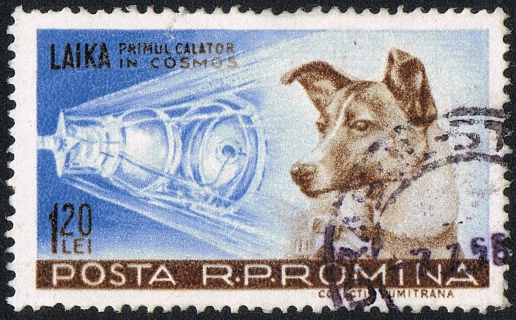 Top 7 historiske hunde der ændrede verden