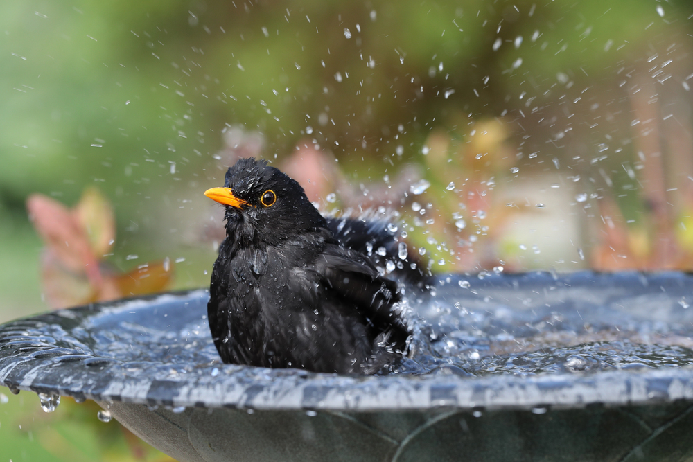 Depositphotos