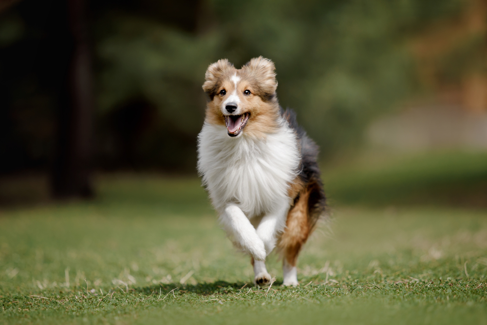 Depositphotos