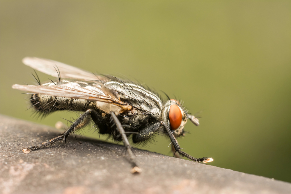 Depositphotos