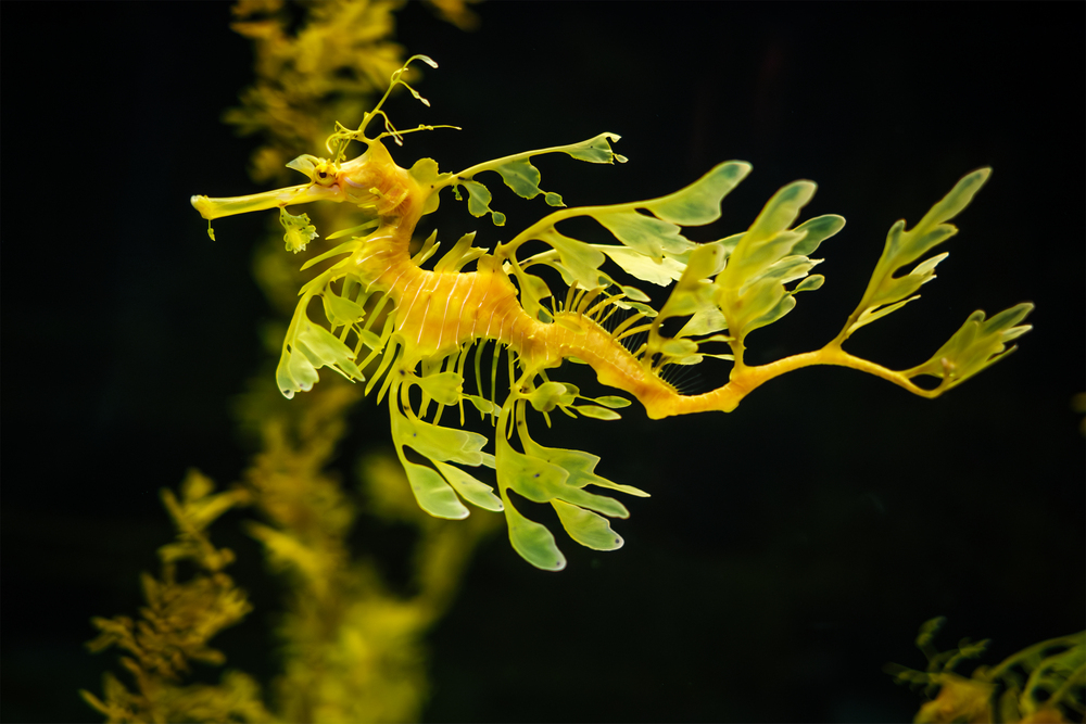 Depositphotos.com