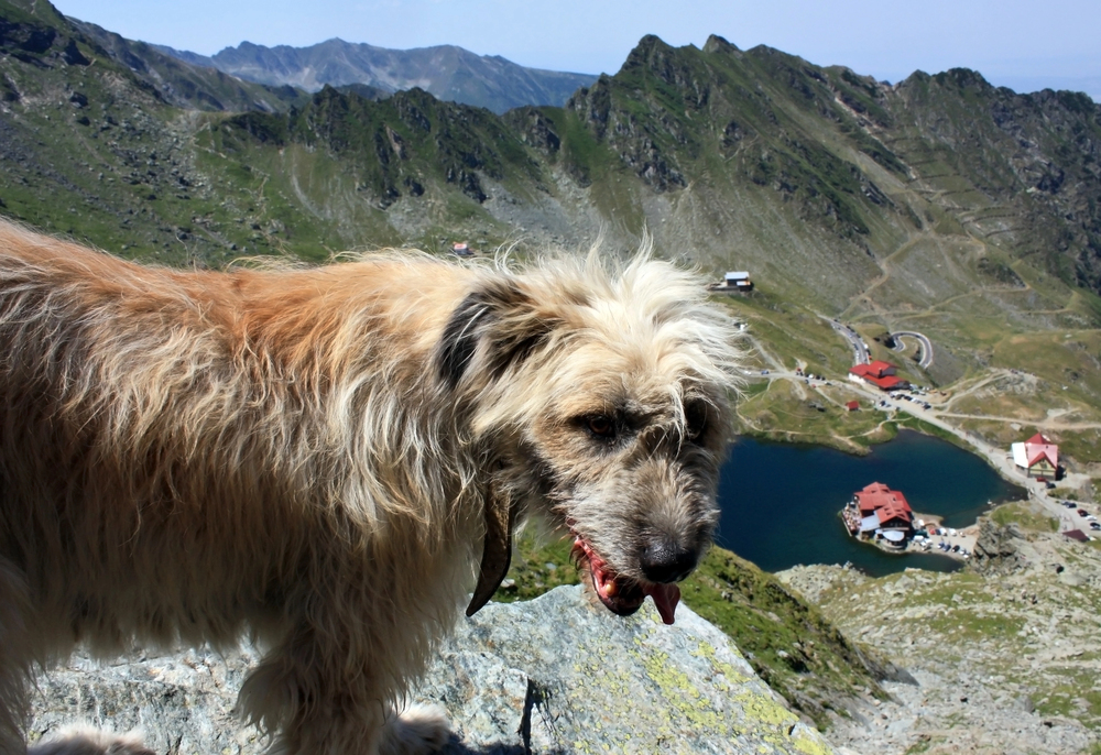 Depositphotos