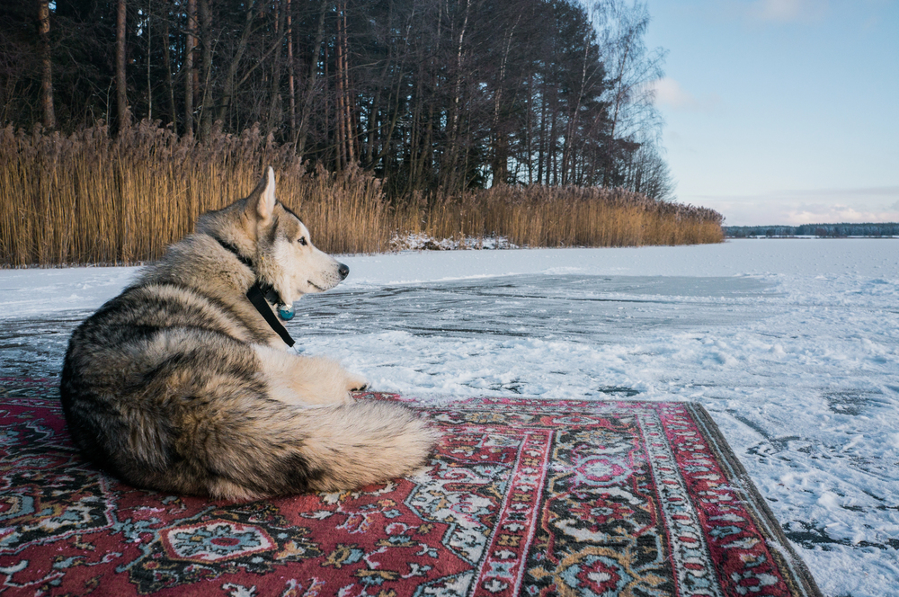 Depositphotos