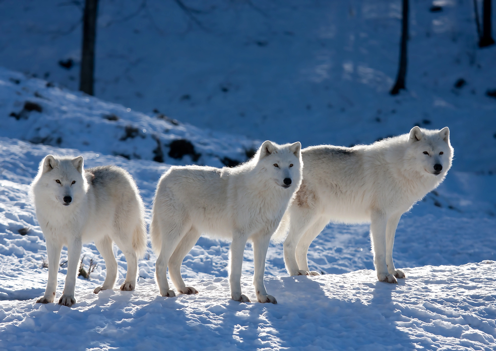 Depositphotos
