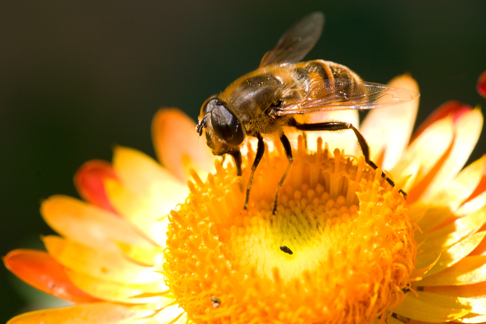 Depositphotos