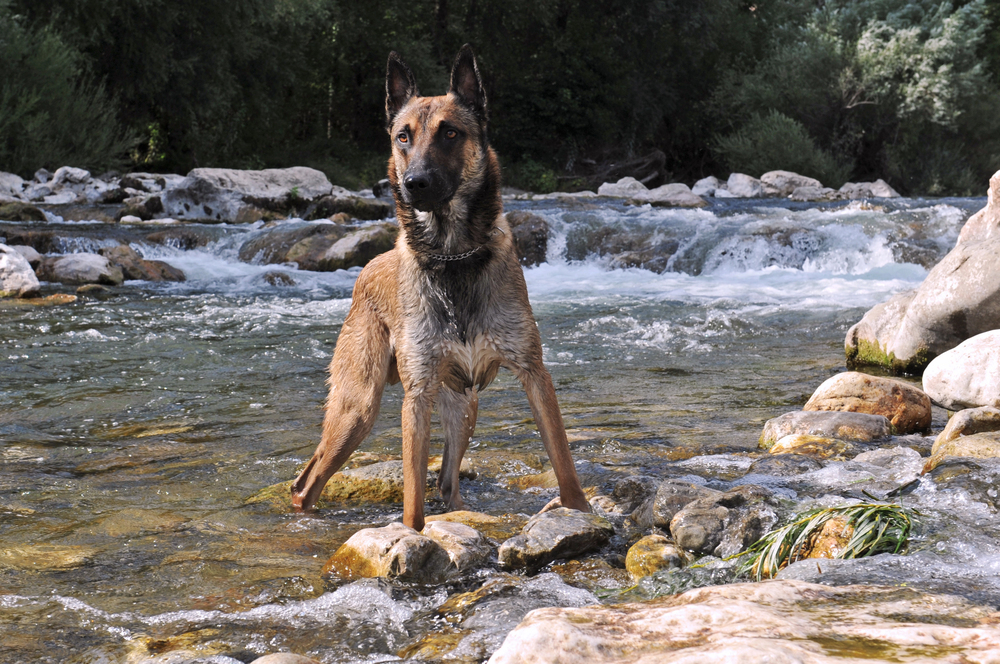 Depositphotos
