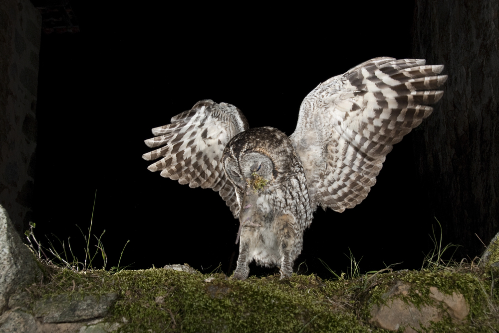 Depositphotos