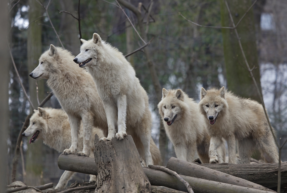 Depositphotos