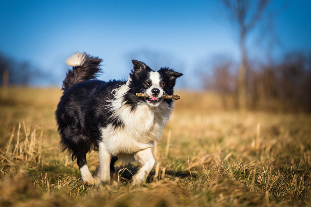 Depositphotos