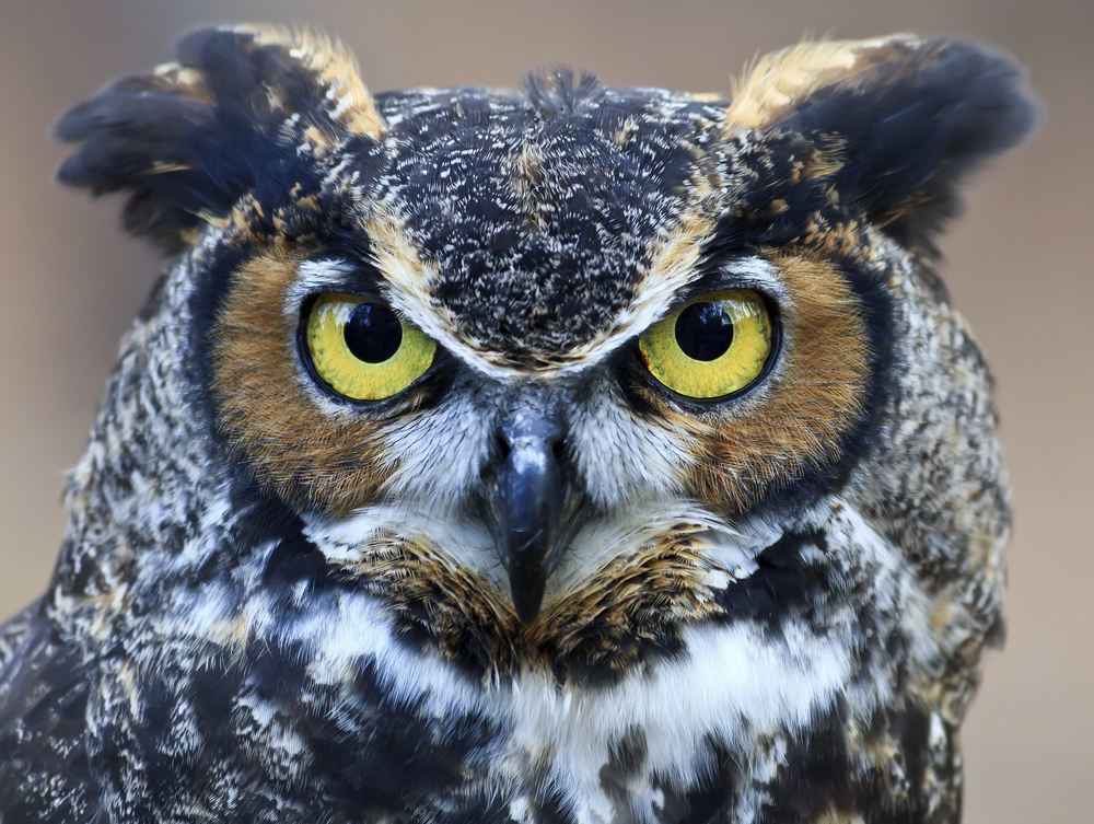 Depositphotos