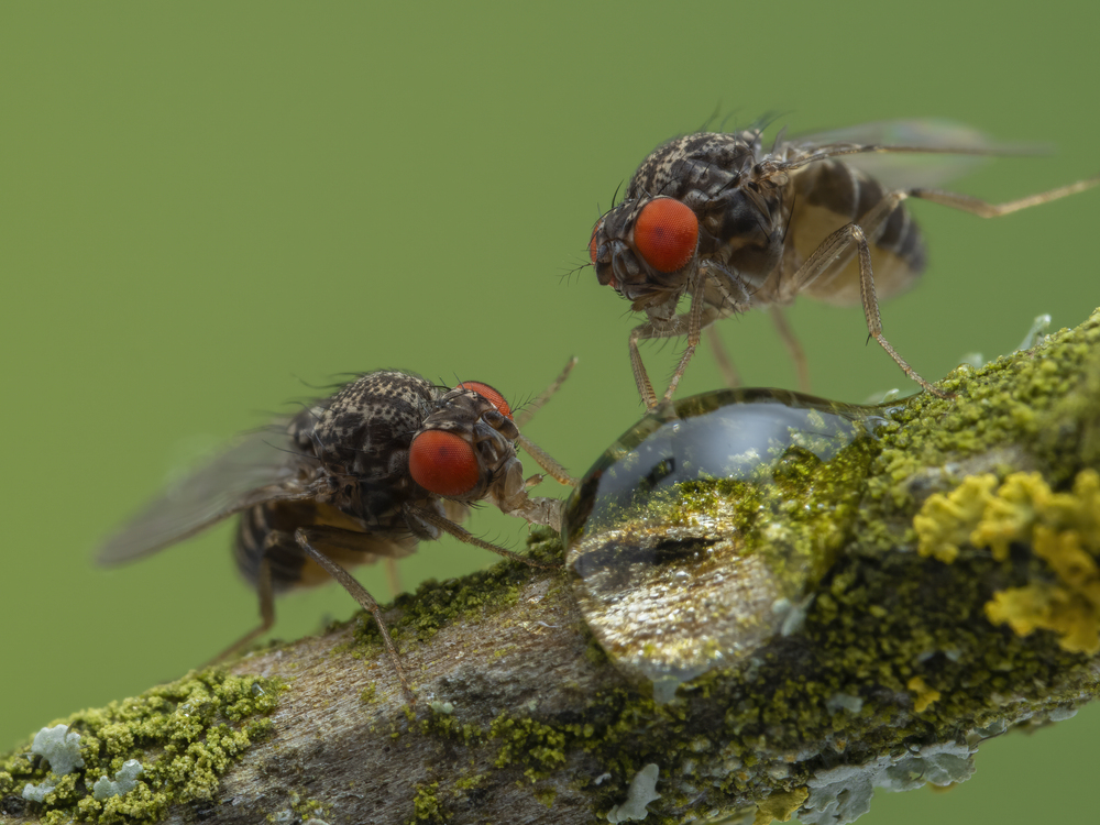 Depositphotos