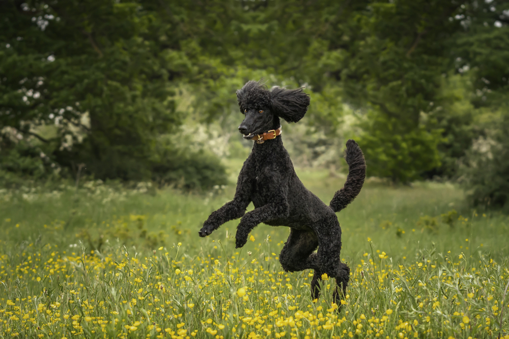 Depositphotos