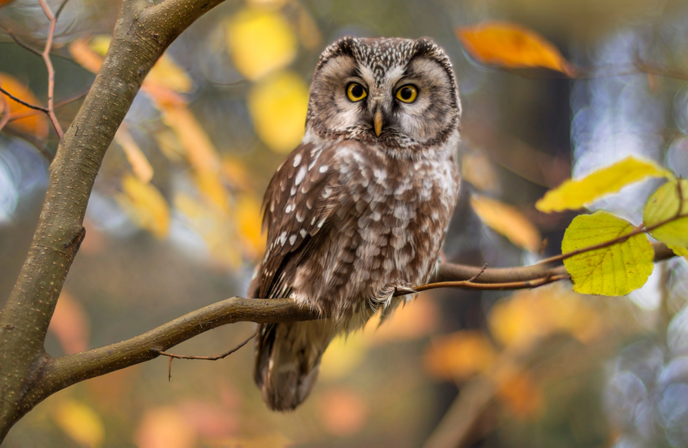 Depositphotos