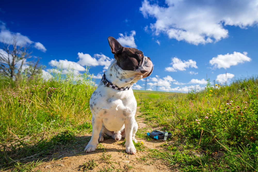 Depositphotos