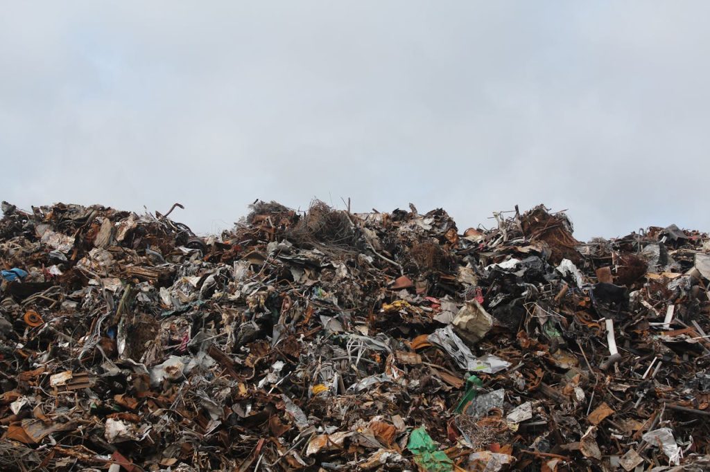7 dyr med mærkelige byggematerialer – skøre strukturer fra spyt, slim og skrald