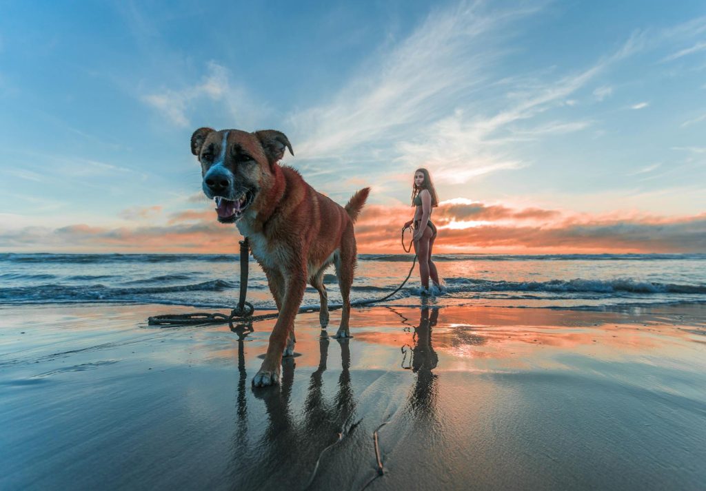 Pexels : Jacub Gomez 