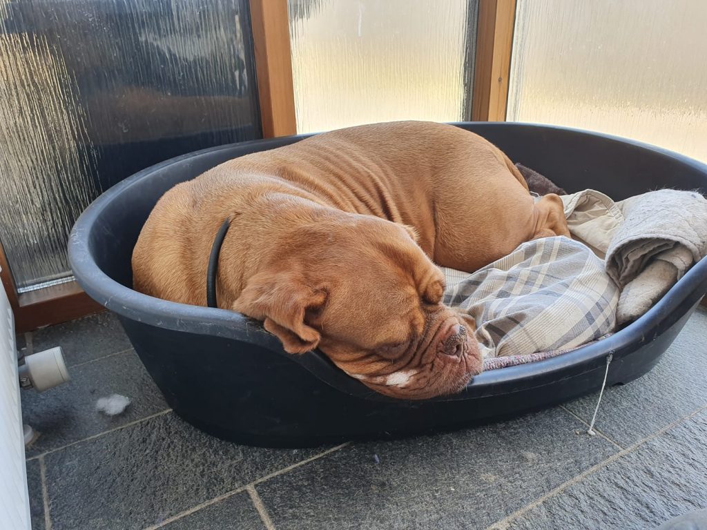 Wicki Oppendieck
