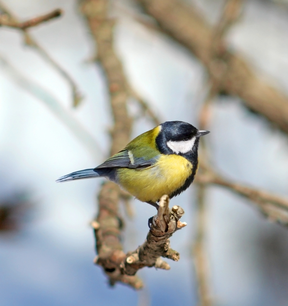Depositphotos