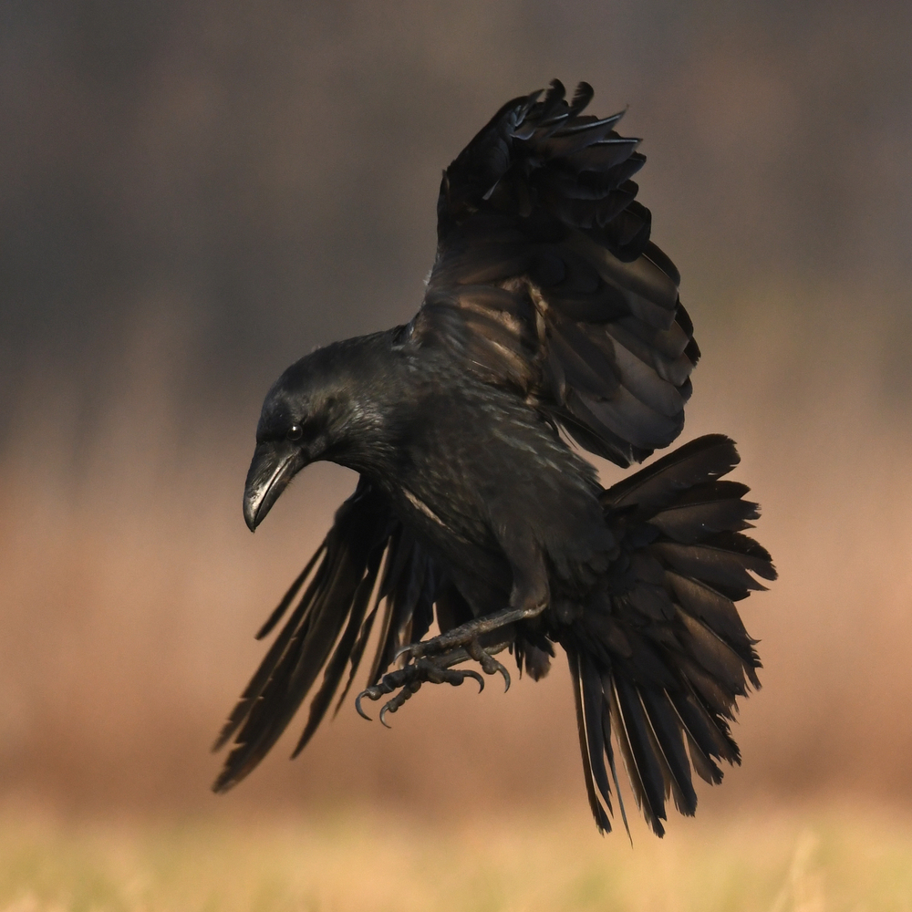 Depositphotos