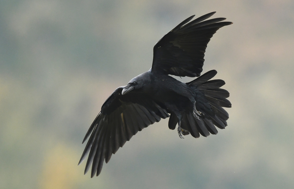 Depositphotos