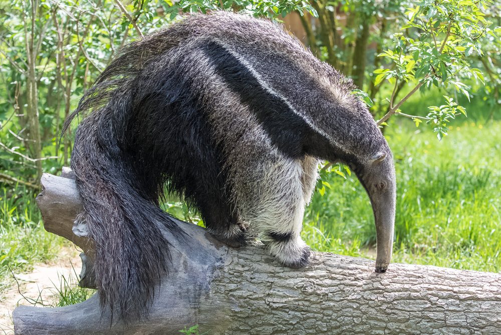 Depositphotos