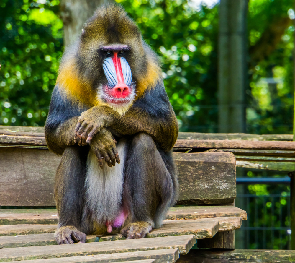Depositphotos