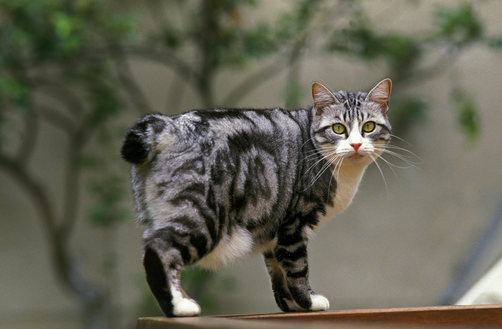 Depositphotos.com
