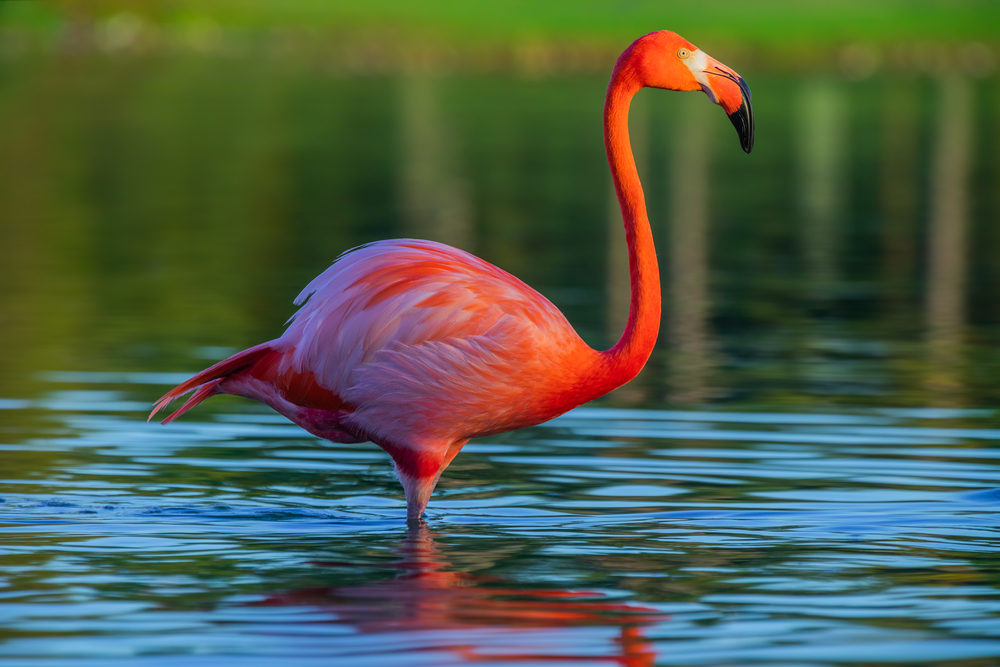 Depositphotos