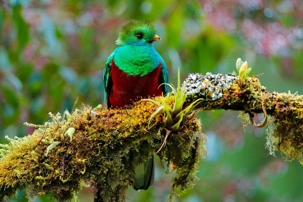 Depositphotos