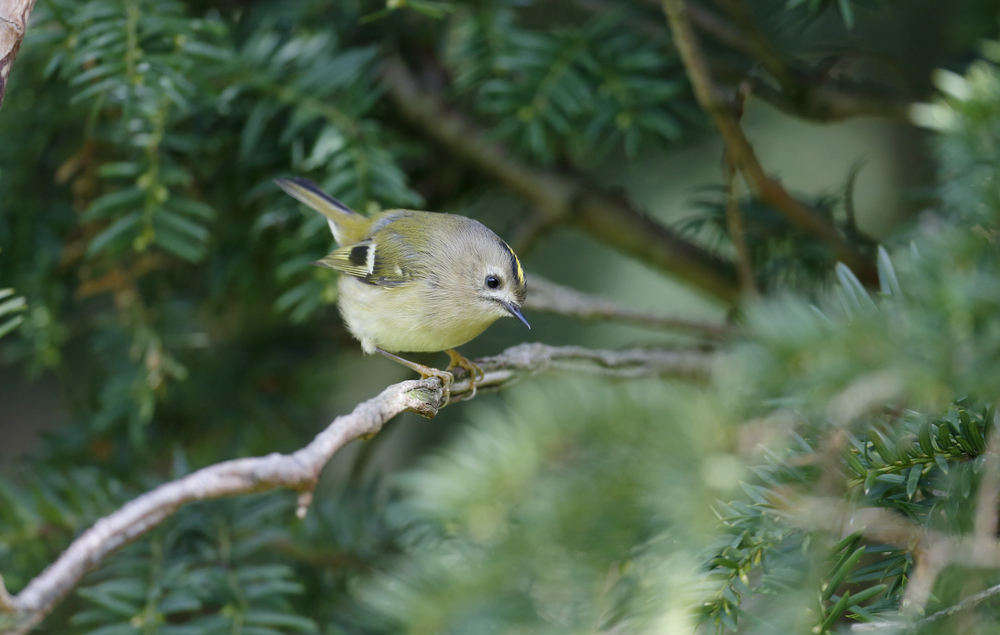 Depositphotos