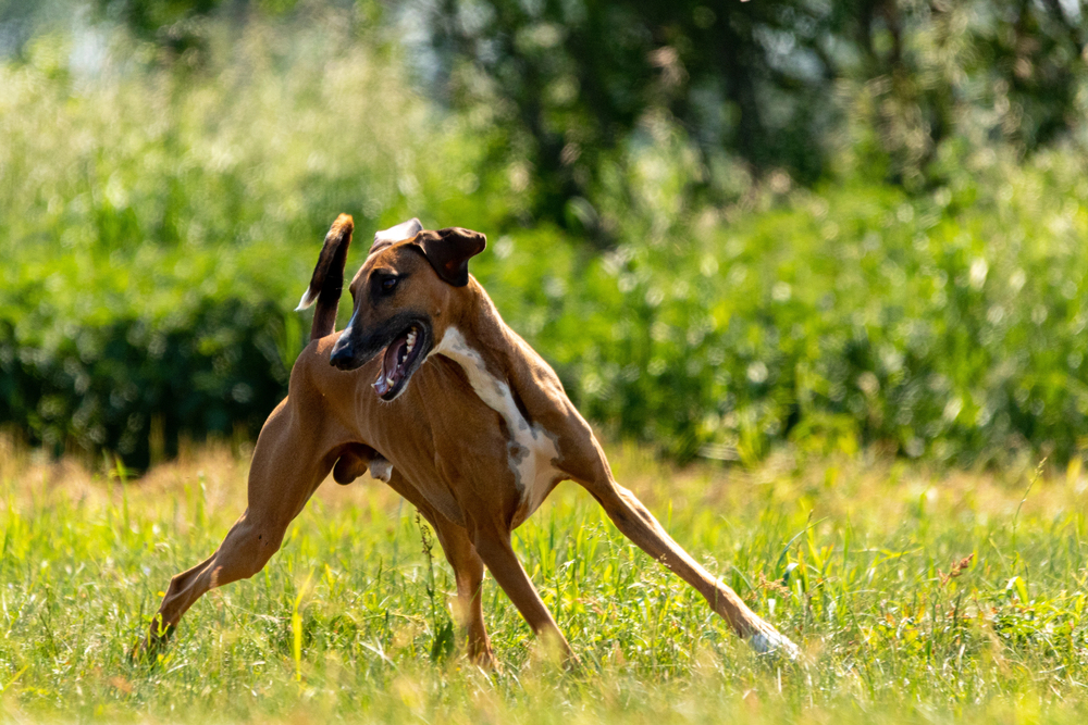 Depositphotos.com