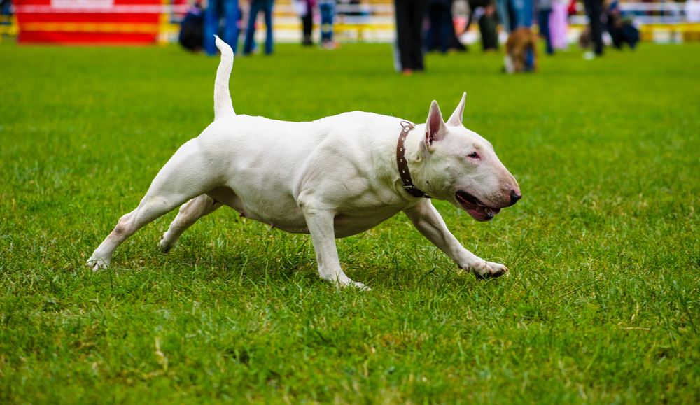 Depositphotos