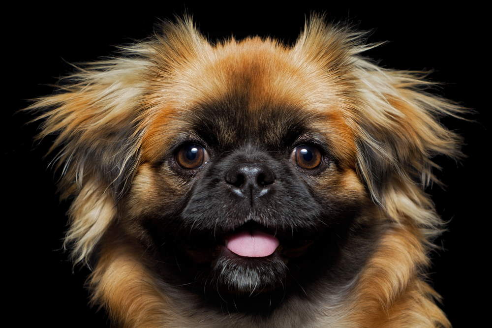 Depositphotos