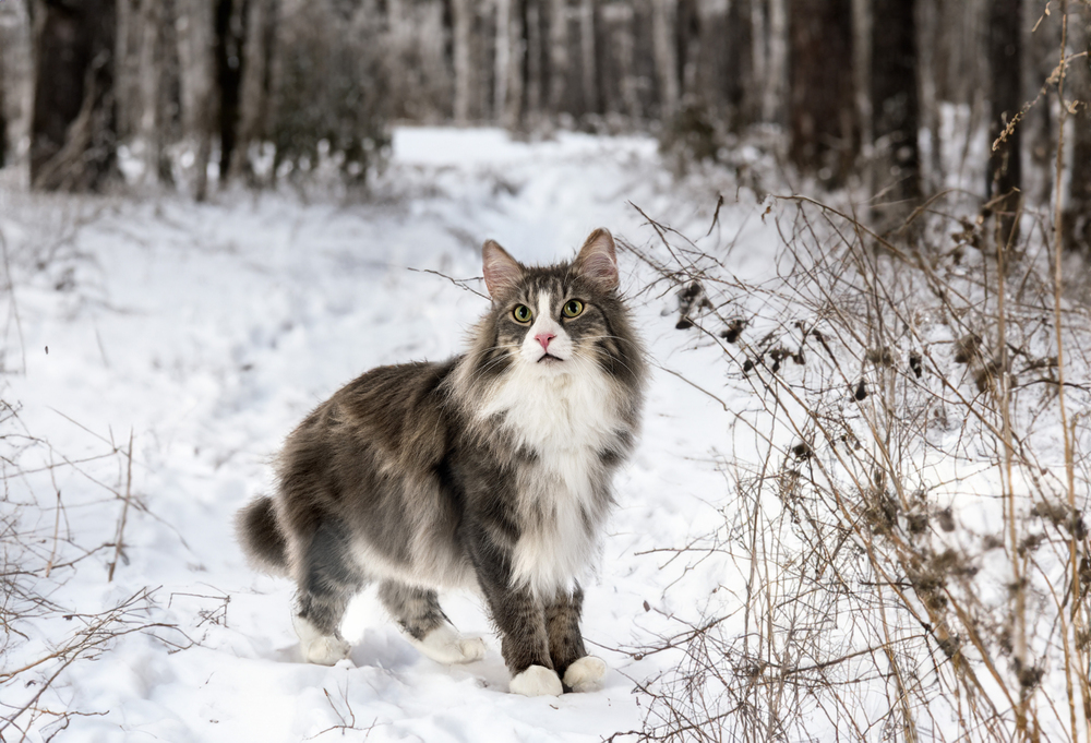 Depositphotos
