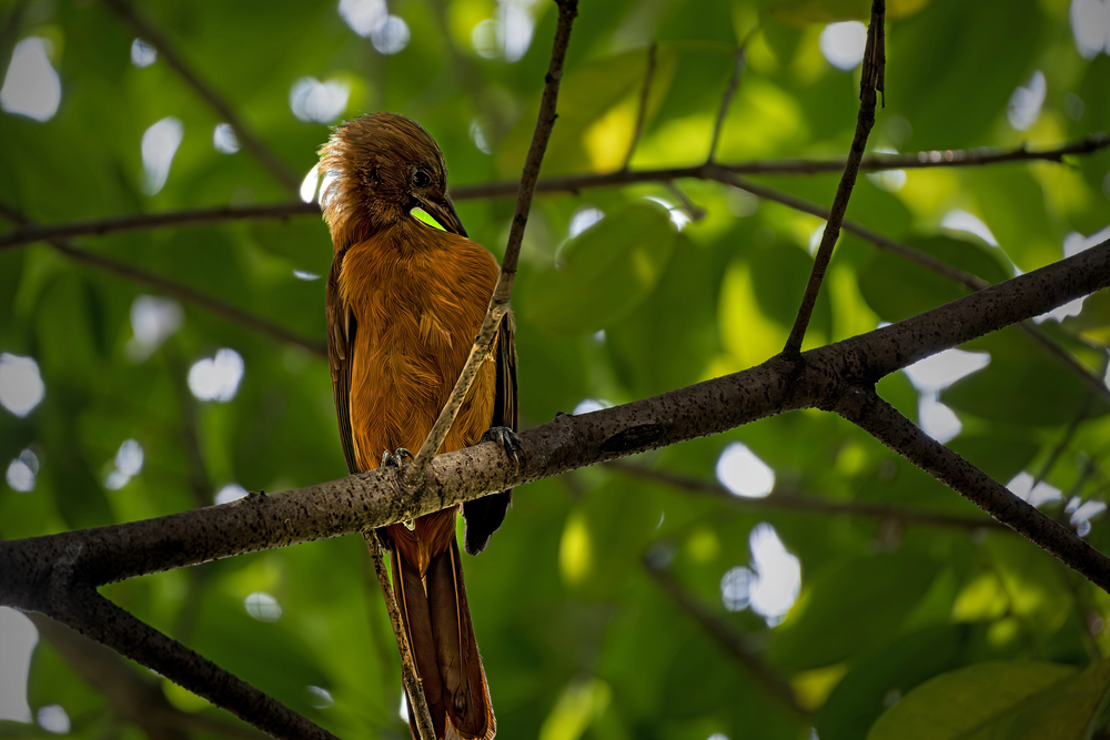Depositphotos