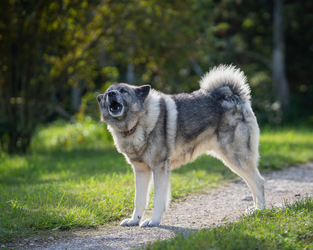Depositphotos