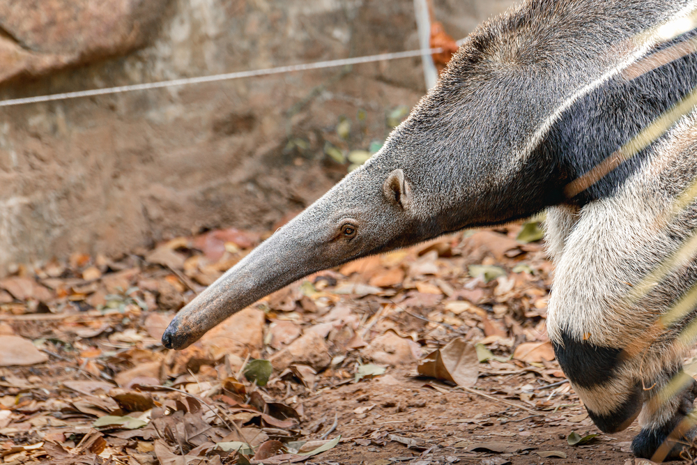 Depositphotos