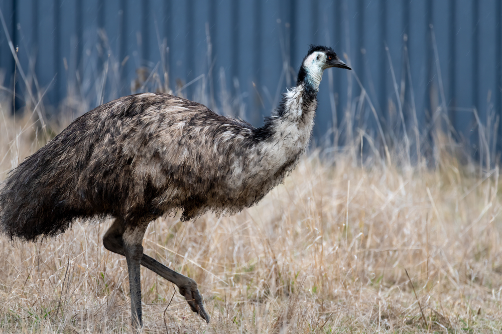 Depositphotos