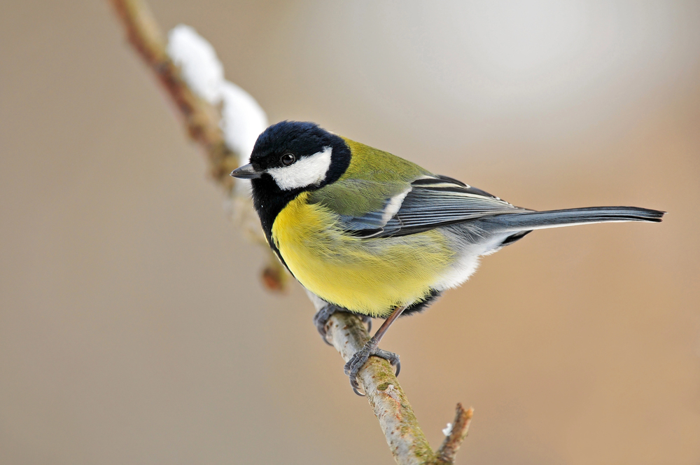 Depositphotos