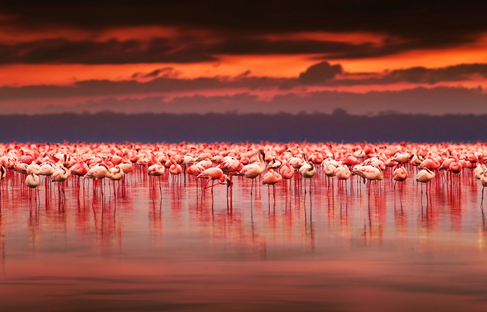 Depositphotos
