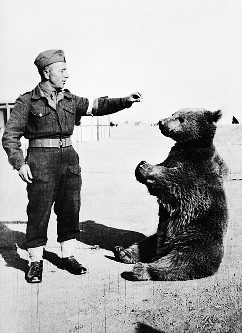Wikimedia Commons