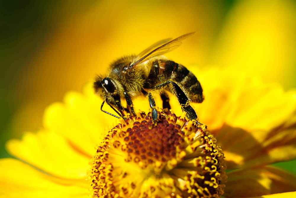 Depositphotos