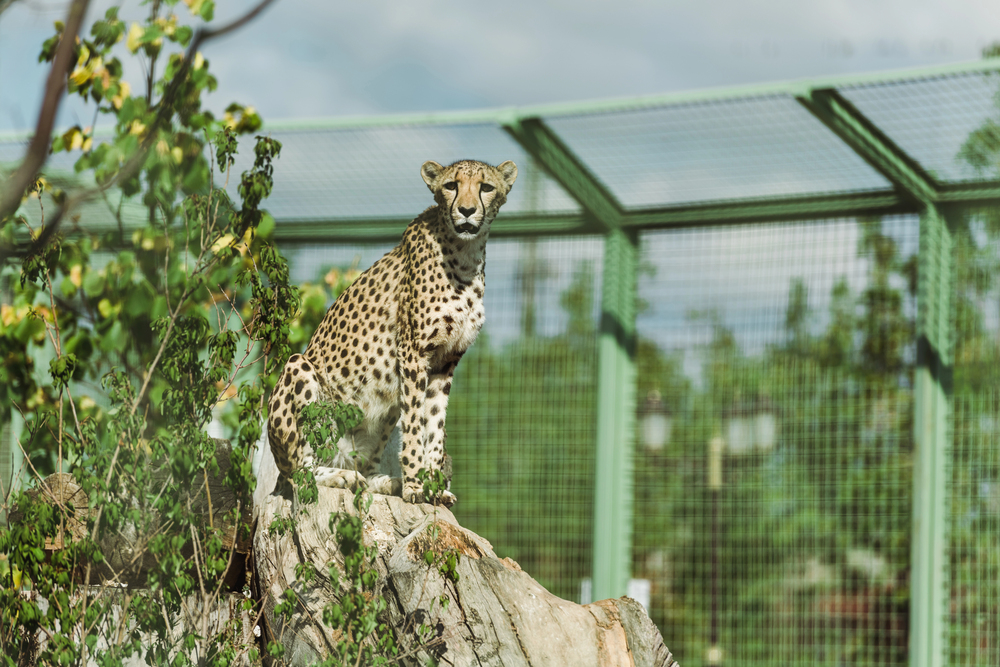 Depositphotos